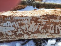 2026-02-28 Družina v únoru